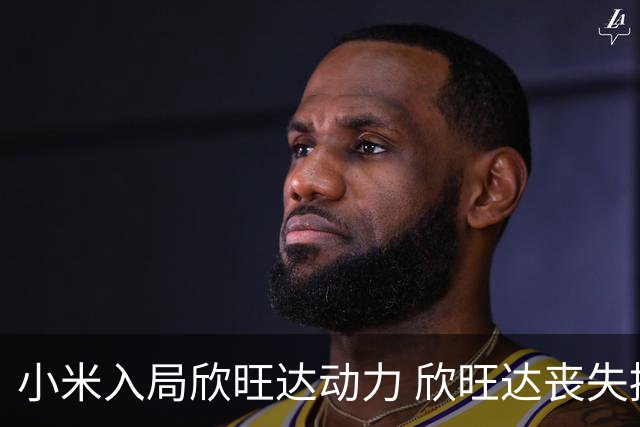 小米入局欣旺达动力 欣旺达丧失控制权